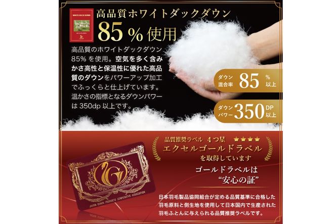 【春夏用】洗える！ 羽毛 肌掛け布団 シングル ホワイトダックダウン 85%  (無地 グレー) 羽毛布団 布団 ふとん 羽毛 肌掛け 掛け布団 寝具 夏用 日本製 国産 抗菌防臭 無地 コインランドリー [川村羽毛 山梨県 韮崎市 20745100]