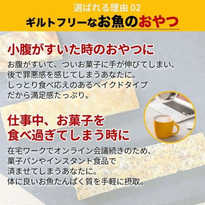 【定期便全4回】鐘崎　魚と大豆のWたんぱく質 「シープロテイン10BAR（12本セット）」４種の味を楽しめる【 低カロリー タンパク質 たんぱく質 栄養補助食品 ダイエット お菓子 おやつ ひな祭り こどもの日 母の日 父の日 お中元 敬老の日 お歳暮 七五三 】 041009_AG016
