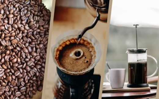 スペシャルティコーヒー豆 (農薬不使用) 100g 2種類ギフトボックスセット 飲料 深煎り 中深煎り 珈琲 お取り寄せ グルメ ギフト 飲み比べ 自家焙煎 ※離島への配送不可