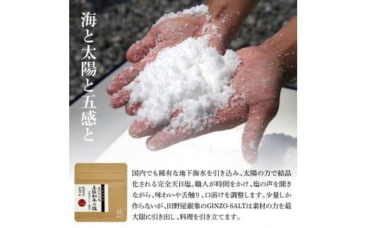 土佐あかうし＆土佐和牛2種食べ比べ 特選スネ肉煮込み角切り500g 計2P 田野屋銀象完全天日塩2P付 牛肉 肉 お肉 和牛 国産 牛 赤身 ヒレ カルビ ロース ブロック【株式会社LATERAL】 [BQAU075]