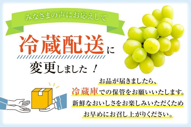 【2026年発送】先行予約 ぶどう シャインマスカット 約1.2kg (2〜2.5房) 【冷蔵発送】 フルーツ 果物 くだもの ブドウ 葡萄 種なし 1.2キロ 甘い 期間限定 季節限定 JA 厳選 山梨県産 令和8年 8月下旬から [梨北農業協同組合 山梨県 韮崎市 20742921]