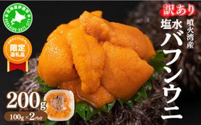 【ふるプレ限定品】訳あり 北海道 噴火湾産 塩水 バフンウニ 100g 2パック 計200g うに ウニ 雲丹 海鮮 海の幸 魚介類 ウニ丼 お寿司 濃厚 無添加 産地直送 お取り寄せ 山村水産 送料無料 【55250812】