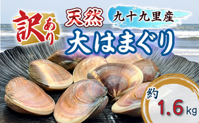 訳あり はまぐり 規格外 大はまぐり 4パック 計 1.6kg 貝 海鮮 魚介 海の幸 ハマグリ 蛤 海産物 国産 天然 産地直送 千葉県 九十九里 九十九里浜