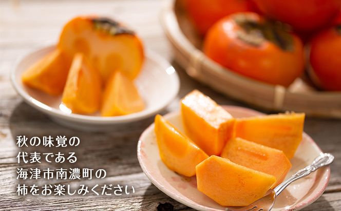 柿 果物 フルーツ 岐阜 幻の柿 陽豊柿 12玉 【海津市】 果物類 かき 