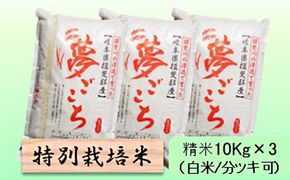 特別栽培米 【 令和8年産 】 精米 30kg（白米/5分/7分ツキ可）【 夢ごこち 】玄米は別に出品