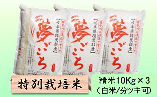 特別栽培米 【 令和8年産 】 精米 30kg（白米/5分/7分ツキ可）【 夢ごこち 】玄米は別に出品