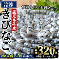 ＜定期便・全2回(冷凍便)＞鹿児島県産！阿久根のきびなごお刺身セット(計320尾・40尾×4P×2回) 冷凍 魚介類 海鮮 魚 きびなご キビナゴ 刺身 さしみ 刺し身 青魚 子魚 小分け【椎木水産】akn054-11