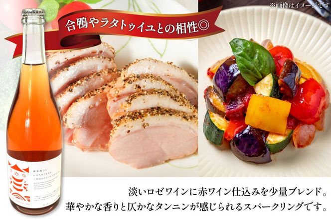 ワイン 南三陸ワイナリー スチューベン・スパークリング ロゼ 辛口 750ml ×1本 [南三陸さんさんマルシェ 宮城県 南三陸町 m304amh600112] 酒 お酒 ロゼワイン スパーリングワイン スパーリング アルコール 晩酌