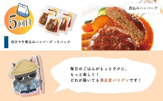 【 5回 お届け 】 便利 でうれしい！ 小分け 定期便 毎月届く 小分けパック ストック 保存食 冷凍 冷凍食品 惣菜 おかず パン うなぎ 鰻 かつお 鰹 ハンバーグ お弁当 弁当 ごちそう 贅沢 高知 四万十市 四万十 しまんと 25-0021