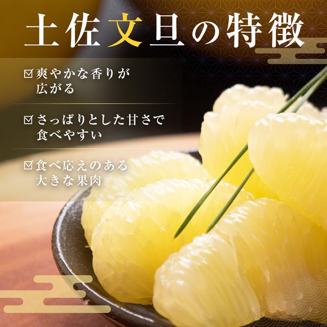 先行予約 文旦 家庭用 約5kg 土佐文旦 L～4L 混合サイズ 高知 ブンタン ぶんたん 旬 柑橘 かんきつ 柑橘類 フルーツ 果物 くだもの デザート おやつ 爽やか 甘い スイーツ 美味しい おいしい 常温