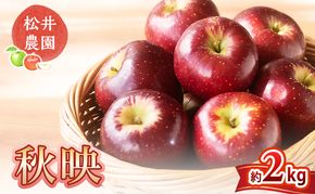 信州小諸 松井農園の秋映 約2kg 果物類・林檎・りんご・リンゴ