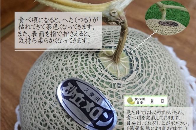 【先行予約】京都丹後久美浜産　砂丘メロン【オトメの祈り】　2Lサイズ／2玉入（2026年中旬～発送）　LP00004