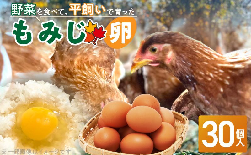 [医師監修]野菜を食べて育った平飼いの卵「もみじ卵」(30個入り)[154T02]もみじ卵 30個 もみじ 卵 赤玉 コク 採れたて 平飼い 玉子 卵焼き 目玉焼き サンドイッチ オムライス