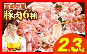 豚肉バラエティー詰合せセット【2.3kg】豚肉 豚肉詰め合わせ セット 小間切れ ウデ モモ スライス ロース バラ 肩ロース とんかつ 冷しゃぶ 豚汁 生姜焼き 国産 プレゼント 贈答 贈り物 ギフト_kn085-013