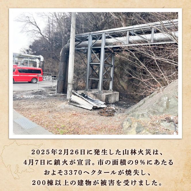 翡翠のしずく ストラップ 1個 復興 三陸 翡翠あわび 簡易包装 鮑 蝦夷あわび アワビ 鮑 Abalone 海産物 海鮮 魚介 魚介類 贈答 プレゼント ペア 手作り 大船渡 災害 被災 火災 岩手県 国産 [hisui014]