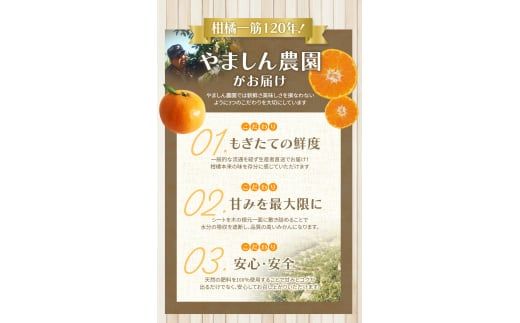 【2026年10月発送予約分】＼光センサー選別／ 【農家直送】【家庭用】こだわりの有田みかん 6kg＋150g(傷み補償分) 先行予約 有機質肥料100% サイズ混合 【10月発送】みかん ミカン 有田みかん 温州みかん 柑橘 有田 和歌山 ※北海道・沖縄・離島配送不可/みかん ミカン 有田みかん 温州みかん 柑橘 有田 和歌山 産地直送【nuk004-c-6-octH】