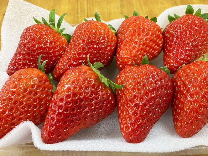 紅ほっぺ 1箱 2パック（合計540g以上） ※2026年1月下旬～4月下旬頃に順次発送予定 | いちご 苺 フルーツ 果物 くだもの 果実 完熟 冷蔵 守谷市産 茨城県 守谷市