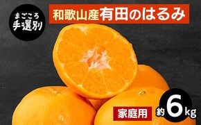 【先行予約】【まごころ手選別】和歌山県産 はるみ 約6kg ご家庭用 S～4Lサイズ混合 柑橘