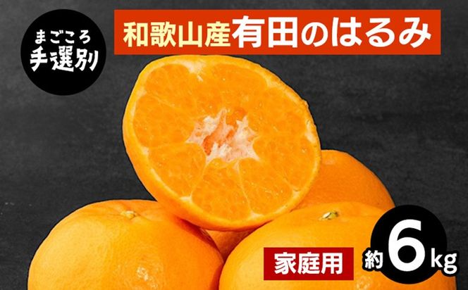 【先行予約】【まごころ手選別】和歌山県産 はるみ 約6kg ご家庭用 S～4Lサイズ混合 柑橘