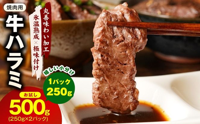 mrz0386 【お試し】牛肉 ハラミ 500g（250g×2P）【氷温熟成×極味付け】