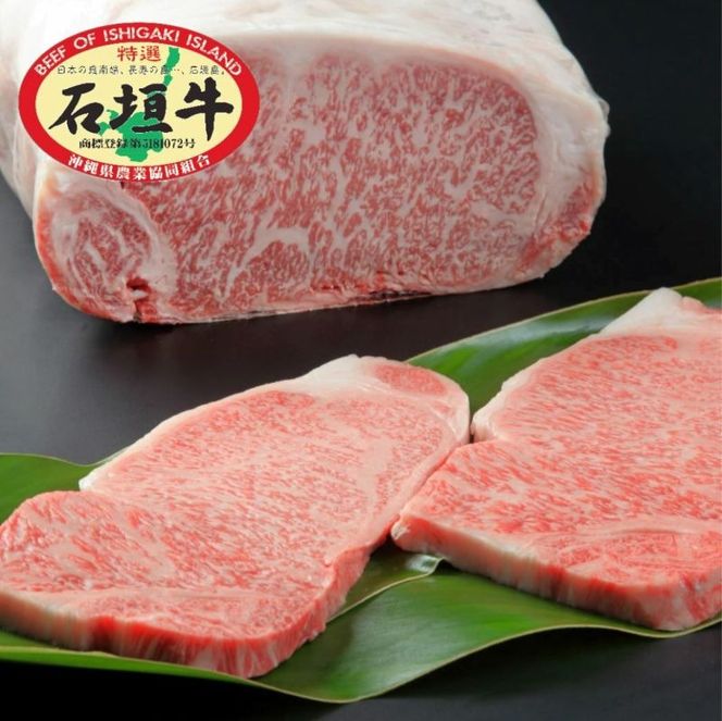 yꌧΊ_szΊ_ I T[CXe[L 250g×2 E-51