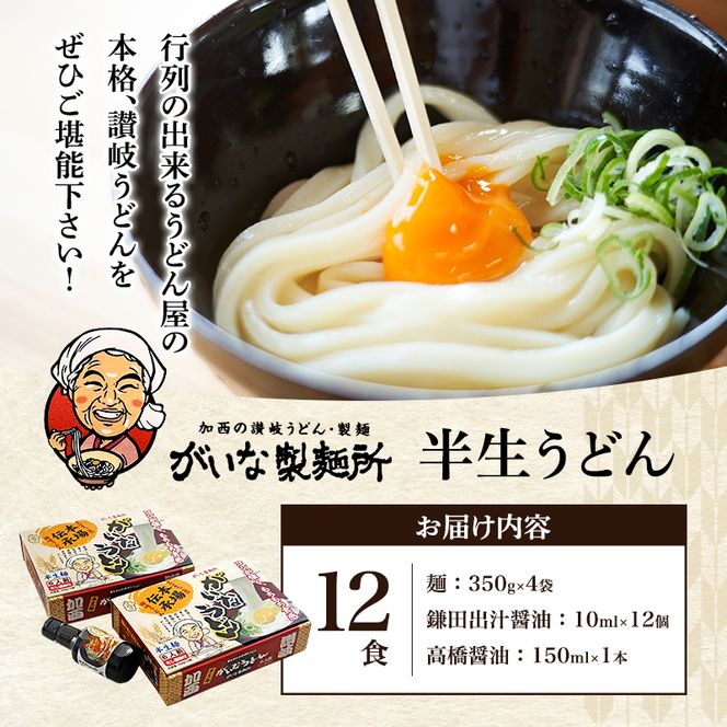 加西市で行列ができる『がいな製麺所』の 讃岐うどん セット こんぶ醤油付き （ 半生タイプ 讃岐 さぬき もっちり コシ 喉越し もちもち食感 ご当地 麺類 かけ 常温保存 有名店 人気店 老舗 製麺所 グルメ お取り寄せ ）