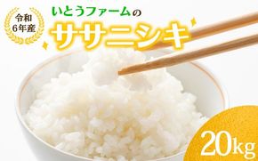 いとうファームの 令和6年産 「ササニシキ」 20kg×1袋 / 米 お米 精米 白米 ご飯 産地直送