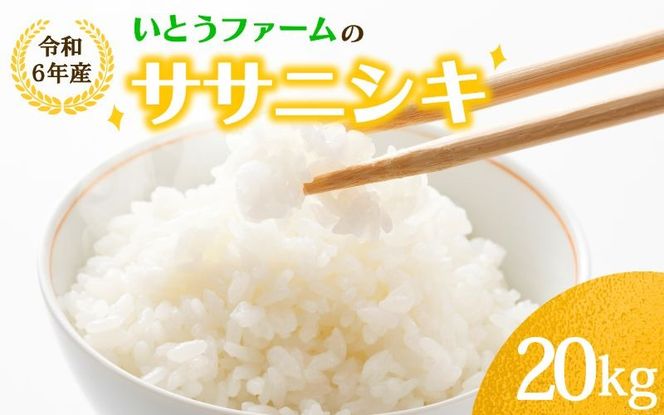 いとうファームの 令和6年産 「ササニシキ」 20kg×1袋 / 米 お米 精米 白米 ご飯 産地直送