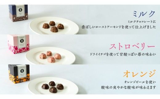 クランチチョコレート 6箱 チョコレート専門店 「Bromagee」 チョコ チョコレート スイーツ お菓子 洋菓子 バレンタイン ホワイトデー ギフト ミルク オレンジ ストロベリー バナナ 抹茶 [CS002ci]