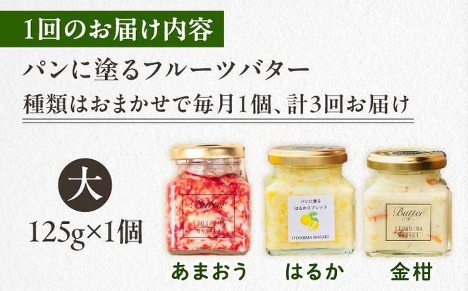 【全3回定期便】お楽しみ定期便 フルーツバター大1個 糸島市 / 糸島正キ ジャム クリーム 果物[AQA062] バター フルーツバター フルーツ 果物 いちご あまおう みかん 金柑