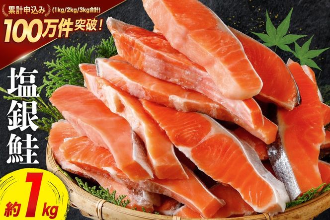 訳あり 銀鮭 切身 約1kg [宮城東洋 宮城県 気仙沼市 20564663] 鮭 海鮮 規格外 不揃い さけ サケ 鮭切身 シャケ 切り身 冷凍 家庭用 訳アリ おかず 弁当 支援 サーモン 銀鮭切り身 魚 わけあり
