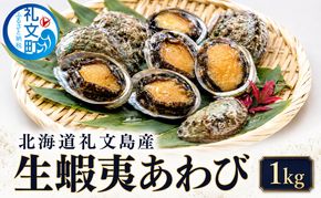 北海道礼文島産 冷蔵 生蝦夷あわび１kg（個数・サイズ指定不可）［Dining cafe 海］【 あわび アワビ 鮑 蝦夷アワビ エゾアワビ 刺身 おつまみ 酒の肴 ご飯のお供 絶品 】