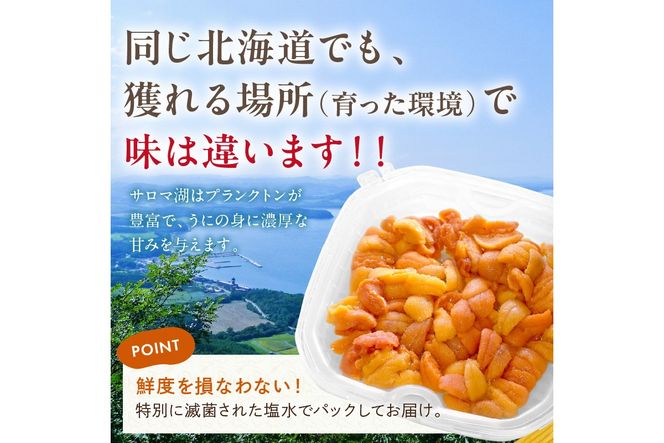 【予約：2026年4月中旬から順次発送】サロマ湖産 生うに ( 海鮮 雲丹 うに ウニ 塩水 生ウニ 生うに ウニ丼 エゾバフンウニ ムキ身 高級 1パック 期間限定 )【114-0006-2026】