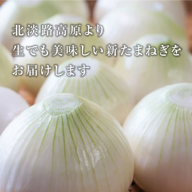 【新玉ねぎ】こうめいさんの玉ねぎ5kg【発送時期2026年4月下旬～6月上旬頃】
