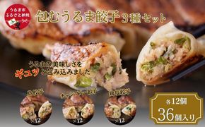 【ふるさと納税】包むうるま餃子　３種セット（島餃子・鶏塩餃子・チャンプルー餃子）　 餃子　豚肉　ゴーヤー　鶏　鶏肉　沖縄　中華
