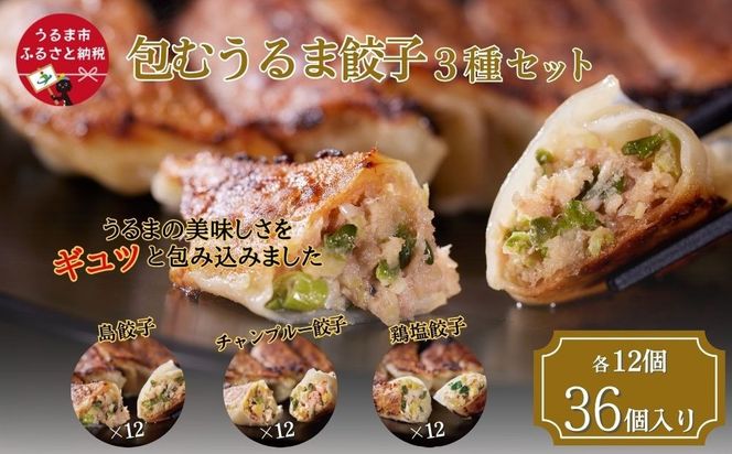 【ふるさと納税】包むうるま餃子　３種セット（島餃子・鶏塩餃子・チャンプルー餃子）　 餃子　豚肉　ゴーヤー　鶏　鶏肉　沖縄　中華