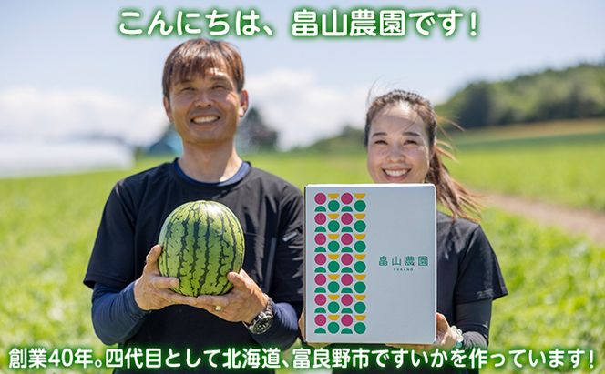 【2026夏発送】ひとりじめ こだま スイカ 2玉 北海道 富良野産 すいか 西瓜 夏 フルーツ ふらの 甘い 糖度 小玉 (畠山農園）