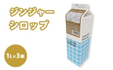 シロップ ジンジャーシロップ スミダ飲料 1000ml （1L） ×3本　※離島への配送不可