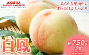 桃 2026年 先行予約 白桃 白鳳 約750g 3玉 もも 岡山県 赤磐市産 フルーツ 果物 あかいわファーマーズガーデン 果物類