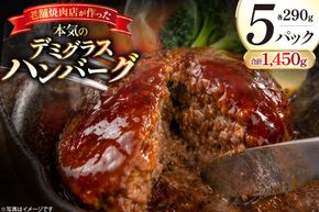 BJ638 デミグラスハンバーグ290g 5パック  [ 牛肉 豚肉 国産 合挽 ギフト 御中元 御歳暮 湯煎 竹林 つばきグリル 株式会社プラス1 長崎県 島原市 ]