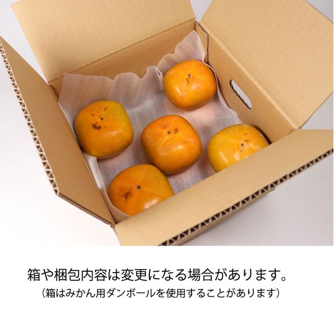 ［先行予約］家庭用 たねなし柿 約5kg［訳あり］［刀根早生・平核無柿（ひらたねなしかき）］［カキ・種無柿・種無し柿・種なし柿・無核柿］［IKE319］ 303446_BB90227