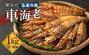 原点の車海老 ｢急速冷凍｣ 1kg (32～40尾) 500g×2パック 【2026年10月上旬より順次発送予定】