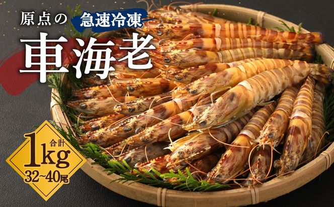 原点の車海老 ｢急速冷凍｣ 1kg (32～40尾) 500g×2パック 【2026年10月上旬より順次発送予定】