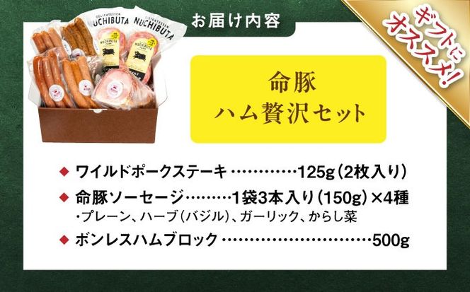 『ハム贅沢セット』 豚肉 ポークステーキ ソーセージ ハム 詰め合わせ お取り寄せ 国産 ギフト 冷凍 沖縄市 / DELICATESSEN NUCHIBUTA [BCAR007]