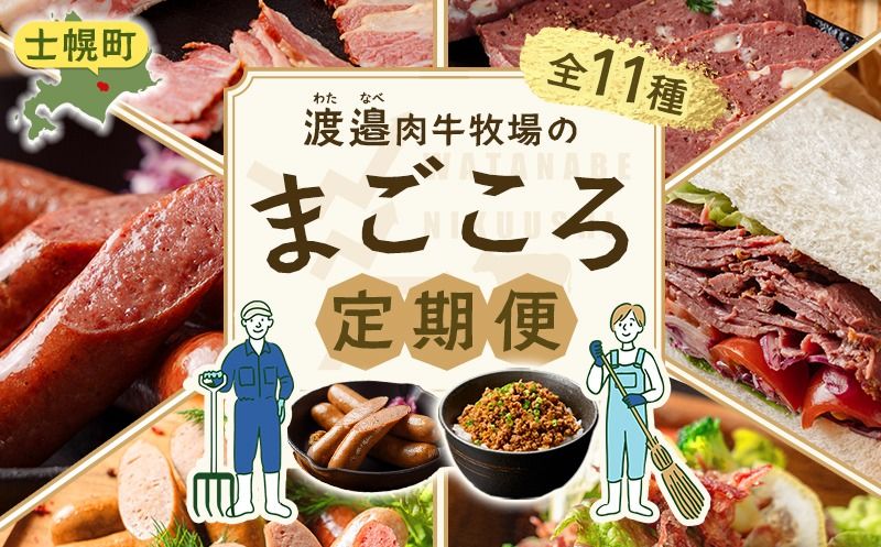 [W900]定期便 北海道 [全11種類] 渡邉肉牛牧場のまごごろ定期便 全3回 牛肉 肉 牛 国産牛 ビーフ 冷凍 お取り寄せ 送料無料 十勝 士幌町 45000円[CF]