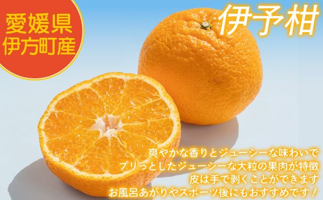 【先行予約】【家庭用】伊予柑 3kg ※北海道・沖縄・離島への配送不可 （2026年1月中旬より順次発送予定） IKTAT004 