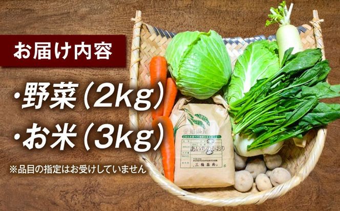 愛西市産 あいちのかおり3kgと旬の季節野菜詰め合わせ お米 精米 野菜 愛西市 / お米の三輪[AECM001]