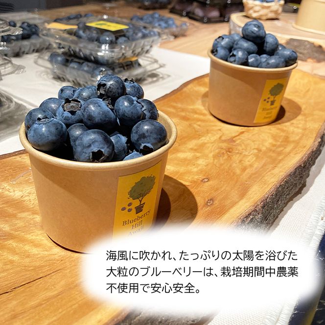 【淡路島産】大粒ブルーベリー 700g 冷凍生果《栽培期間中、無農薬栽培》　ブルーベリー