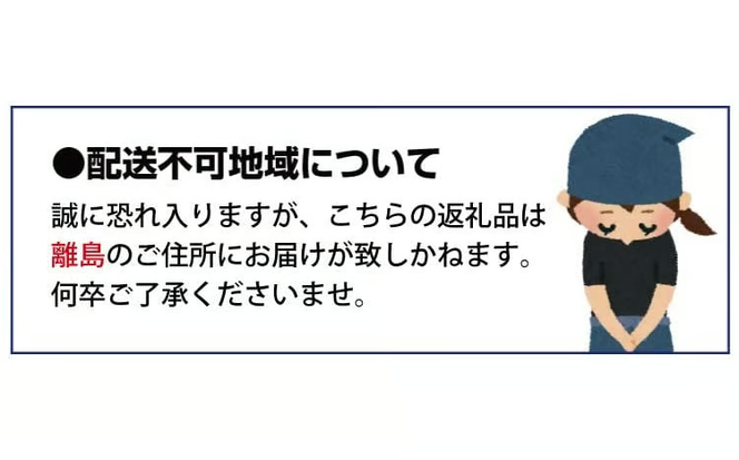 【2026年先行予約】特選品 紫苑 3～5房/計2.4kg～ (岡山県産) / ぶどう ブドウ 葡萄 先行予約 フルーツ 果物 真庭市 フルーツ王国 きよとう果樹園 【KF-B046-03】