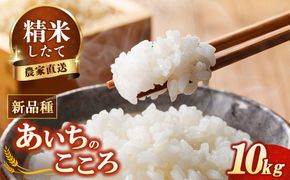 【先行予約】新米 令和8年産 あいちのこころ 10kg ※2026年10月～発送
